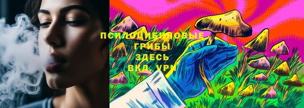 а пвп мука Абаза