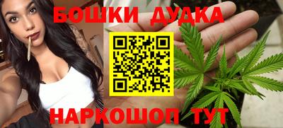 сатива Лесосибирск