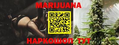 гашик Ливны