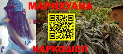 сатива Лесосибирск