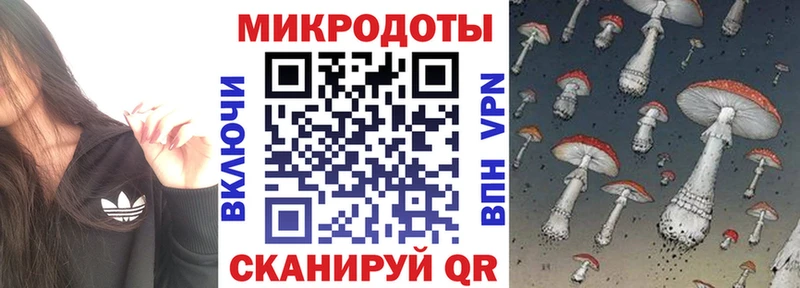 Псилоцибиновые грибы Psilocybe  Татарск 