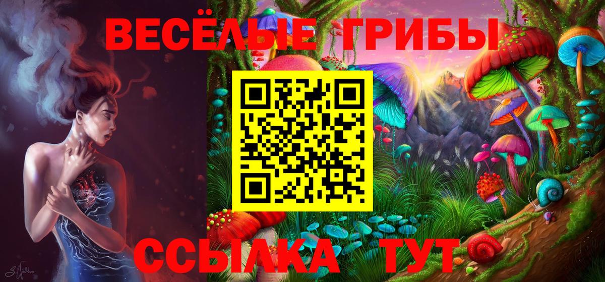 Галлюциногенные грибы GOLDEN TEACHER  Вход с VPN  Псилоцибиновые грибы Magic Shrooms  Татарск 