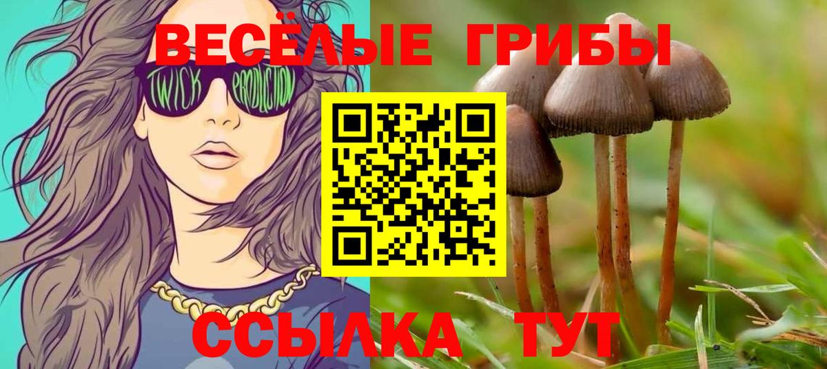 Псилоцибиновые грибы GOLDEN TEACHER Татарск